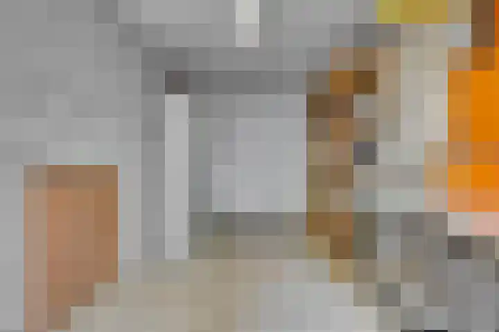 Venrayseweg 3 A Wanssum thumbnail 20