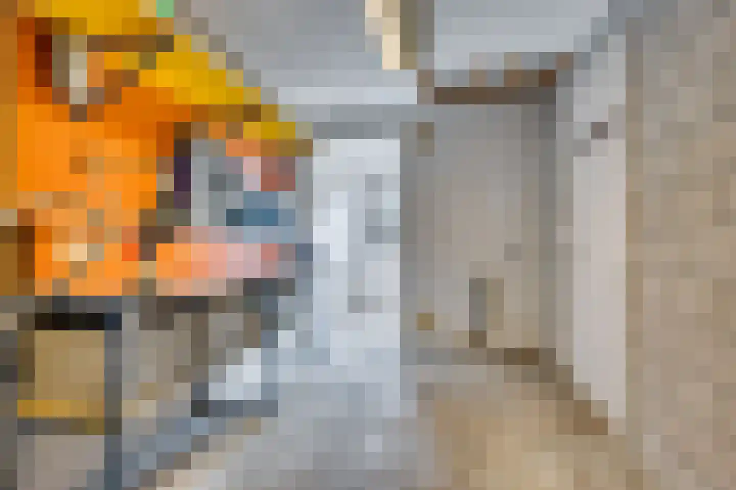 Venrayseweg 3 A Wanssum thumbnail 22