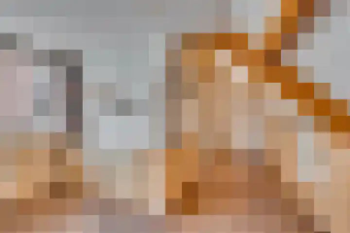 Venrayseweg 3 A Wanssum thumbnail 27