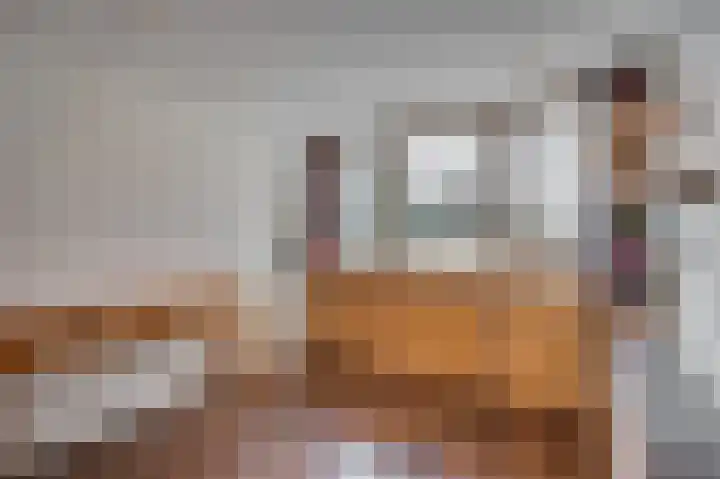 Venrayseweg 3 A Wanssum thumbnail 28