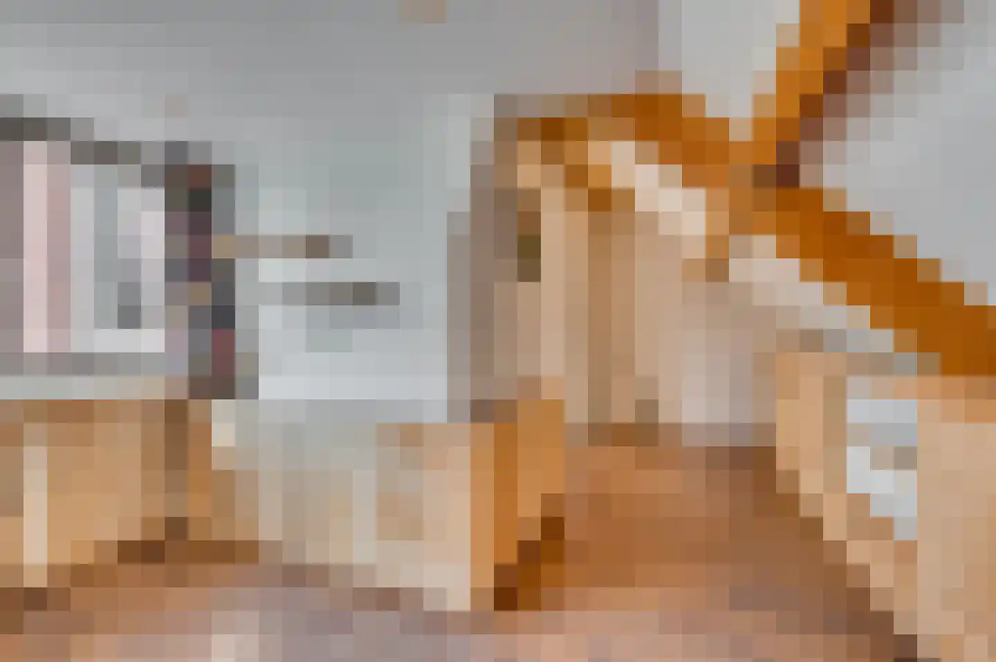 Venrayseweg 3 A Wanssum thumbnail 28