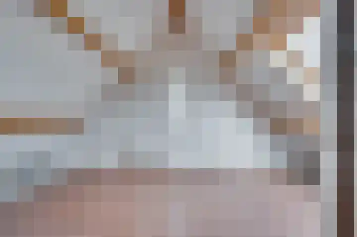 Venrayseweg 3 A Wanssum thumbnail 34