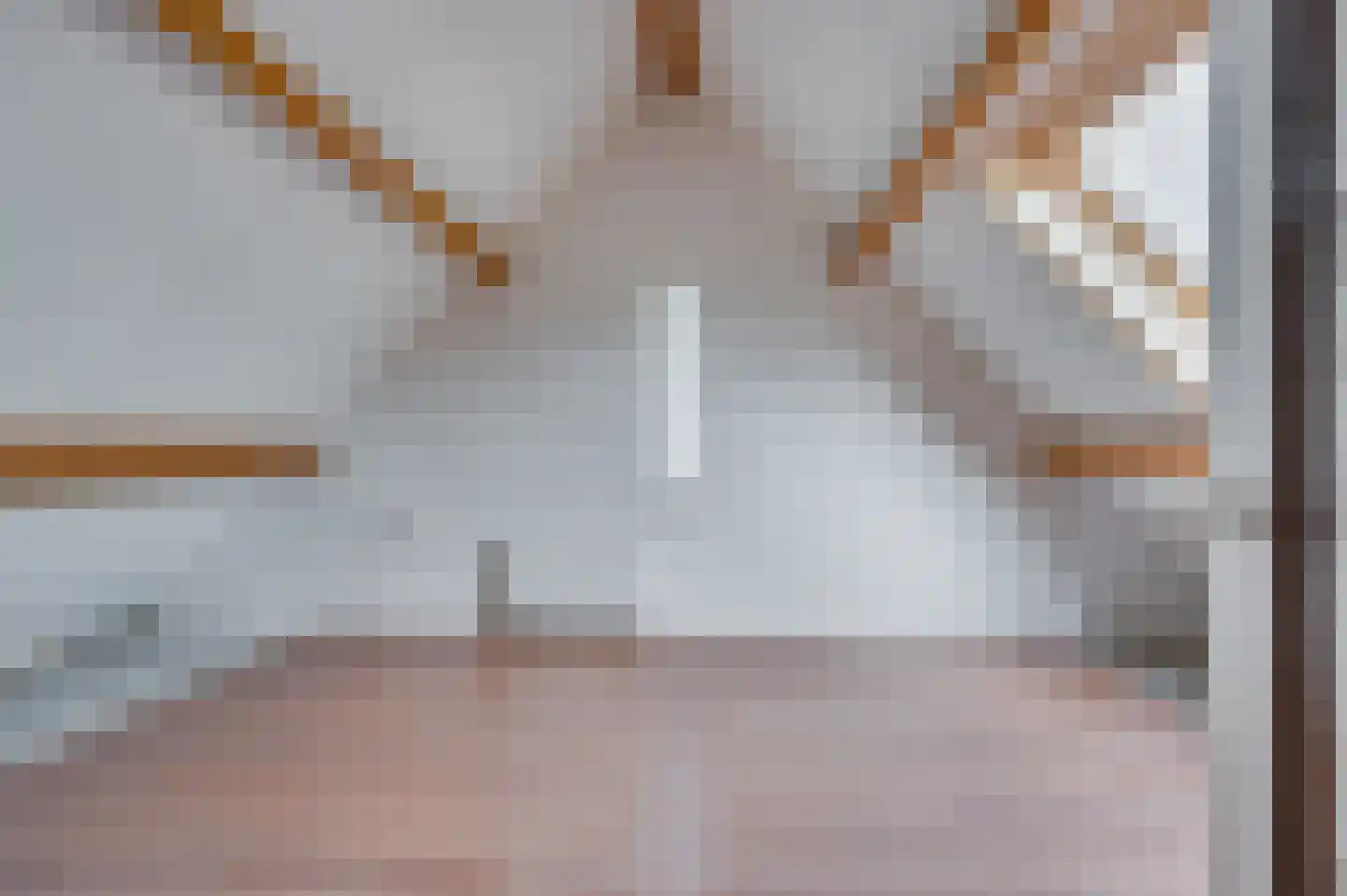 Venrayseweg 3 A Wanssum thumbnail 35