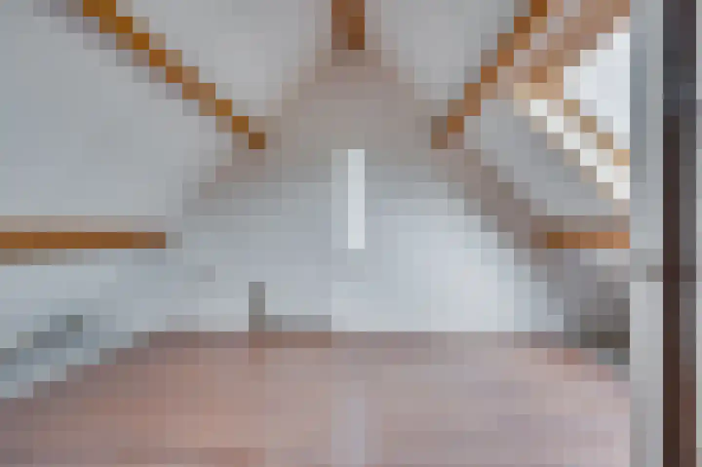 Venrayseweg 3 A Wanssum thumbnail 35