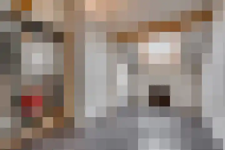 Venrayseweg 3 A Wanssum thumbnail 38