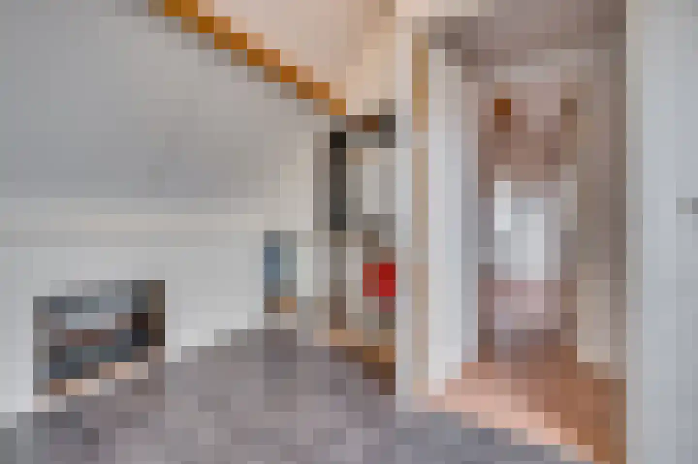 Venrayseweg 3 A Wanssum thumbnail 38
