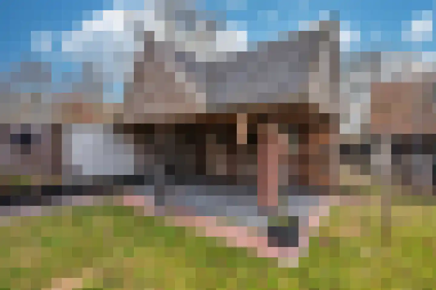 Venrayseweg 3 A Wanssum thumbnail 44