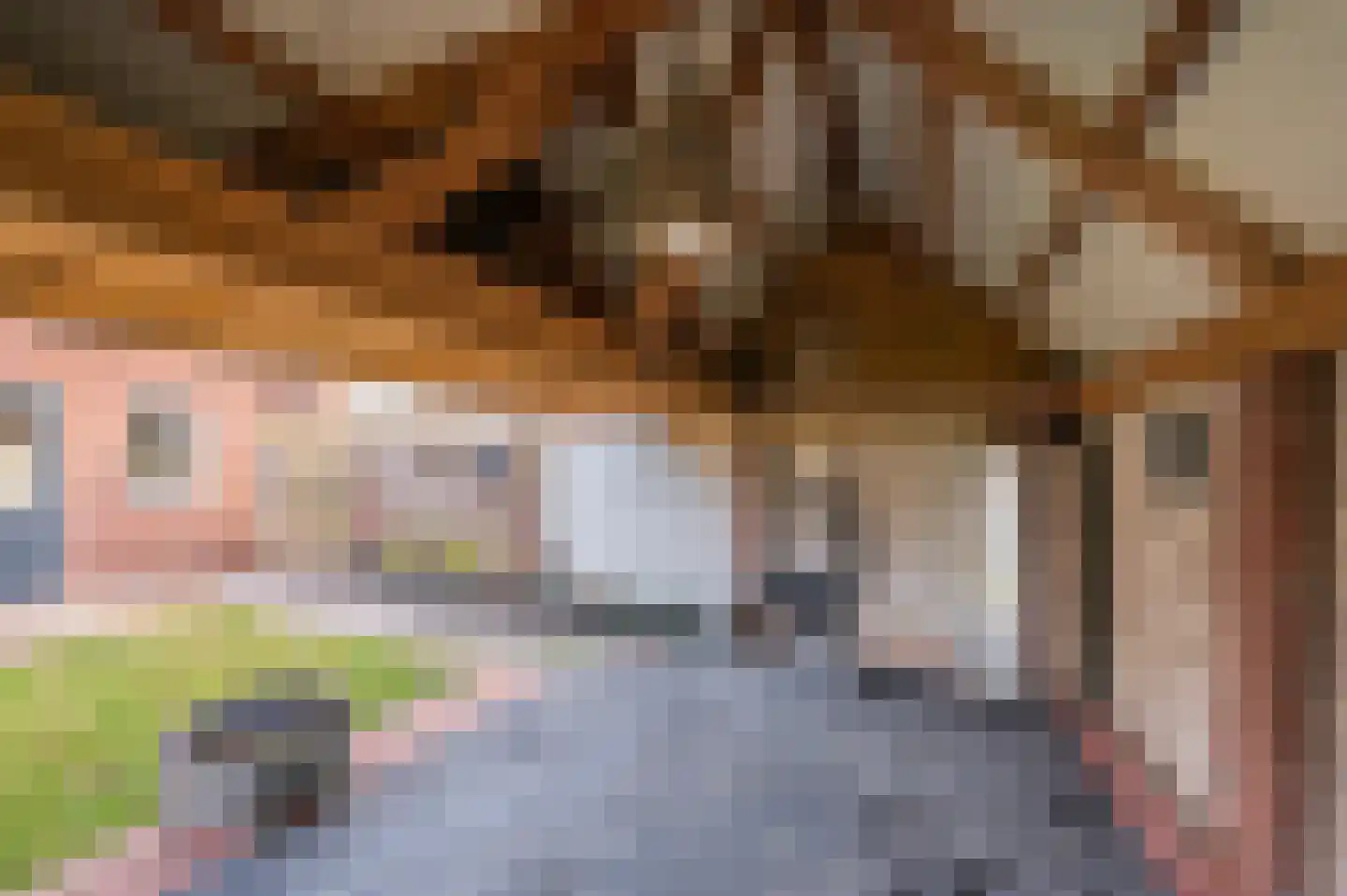 Venrayseweg 3 A Wanssum thumbnail 45