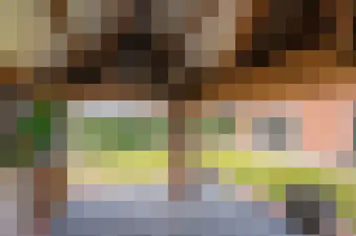 Venrayseweg 3 A Wanssum thumbnail 45