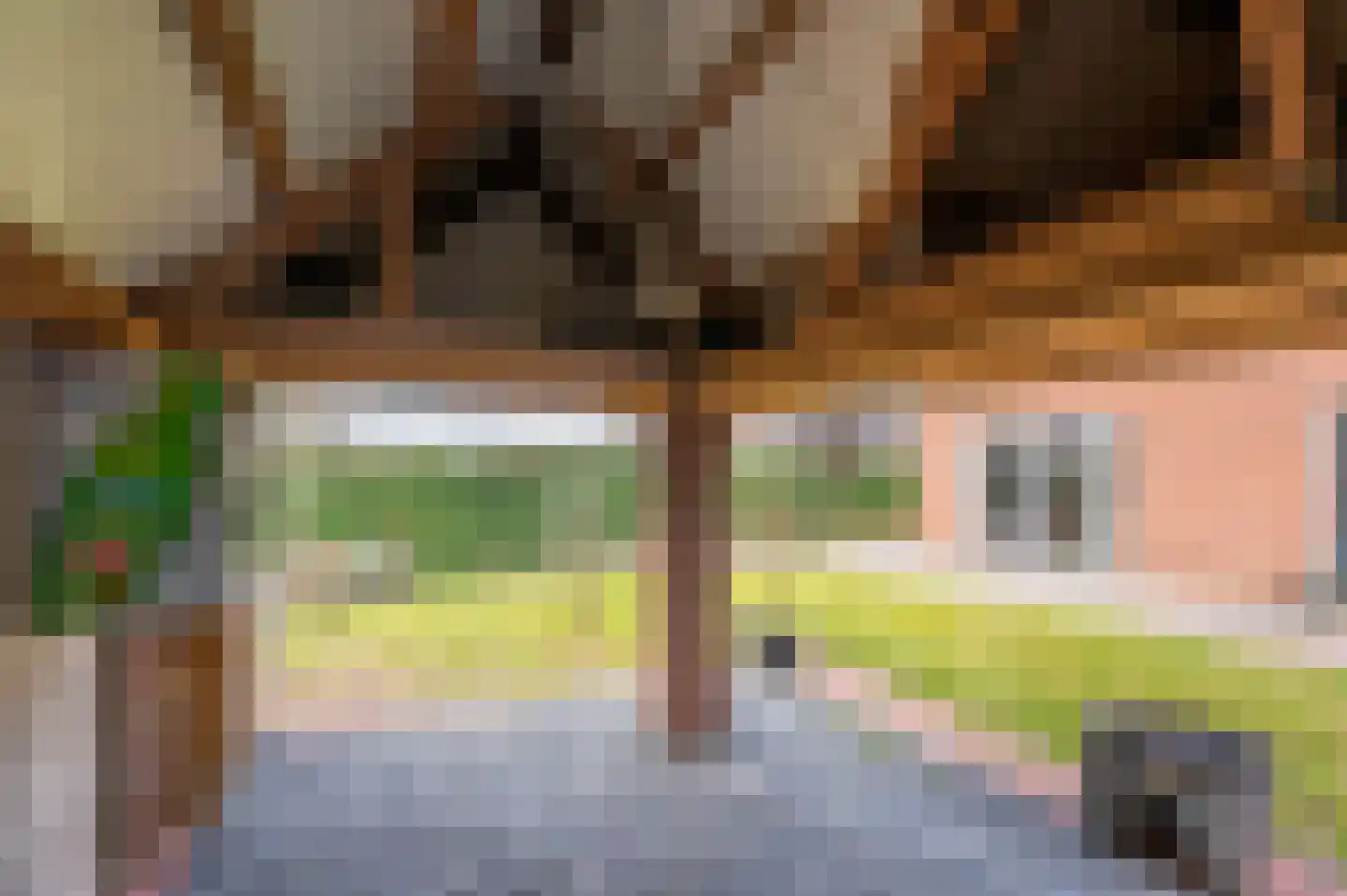 Venrayseweg 3 A Wanssum thumbnail 46