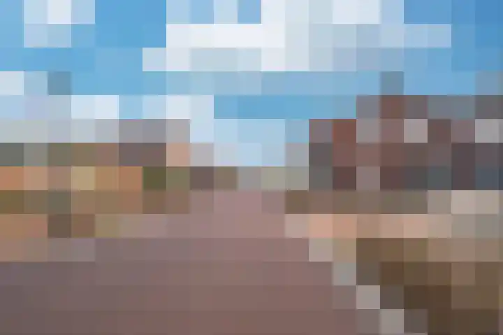 Venrayseweg 3 A Wanssum thumbnail 51