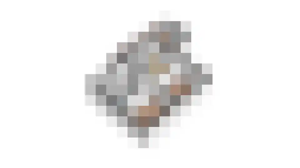 Venrayseweg 3 A Wanssum thumbnail 58