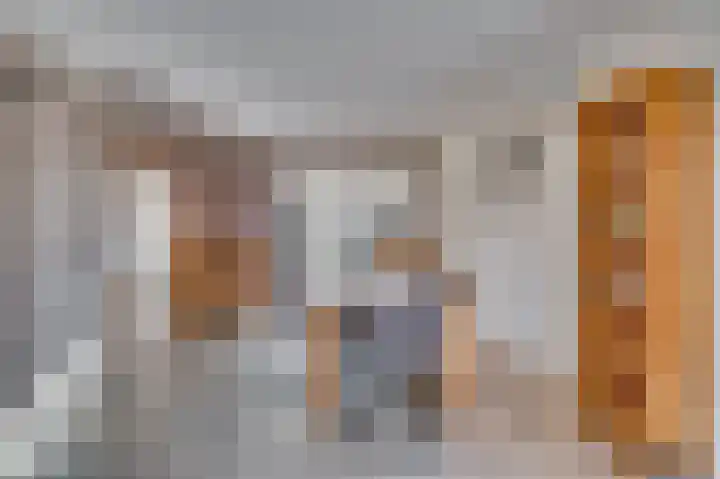 Venrayseweg 3 A Wanssum thumbnail 6