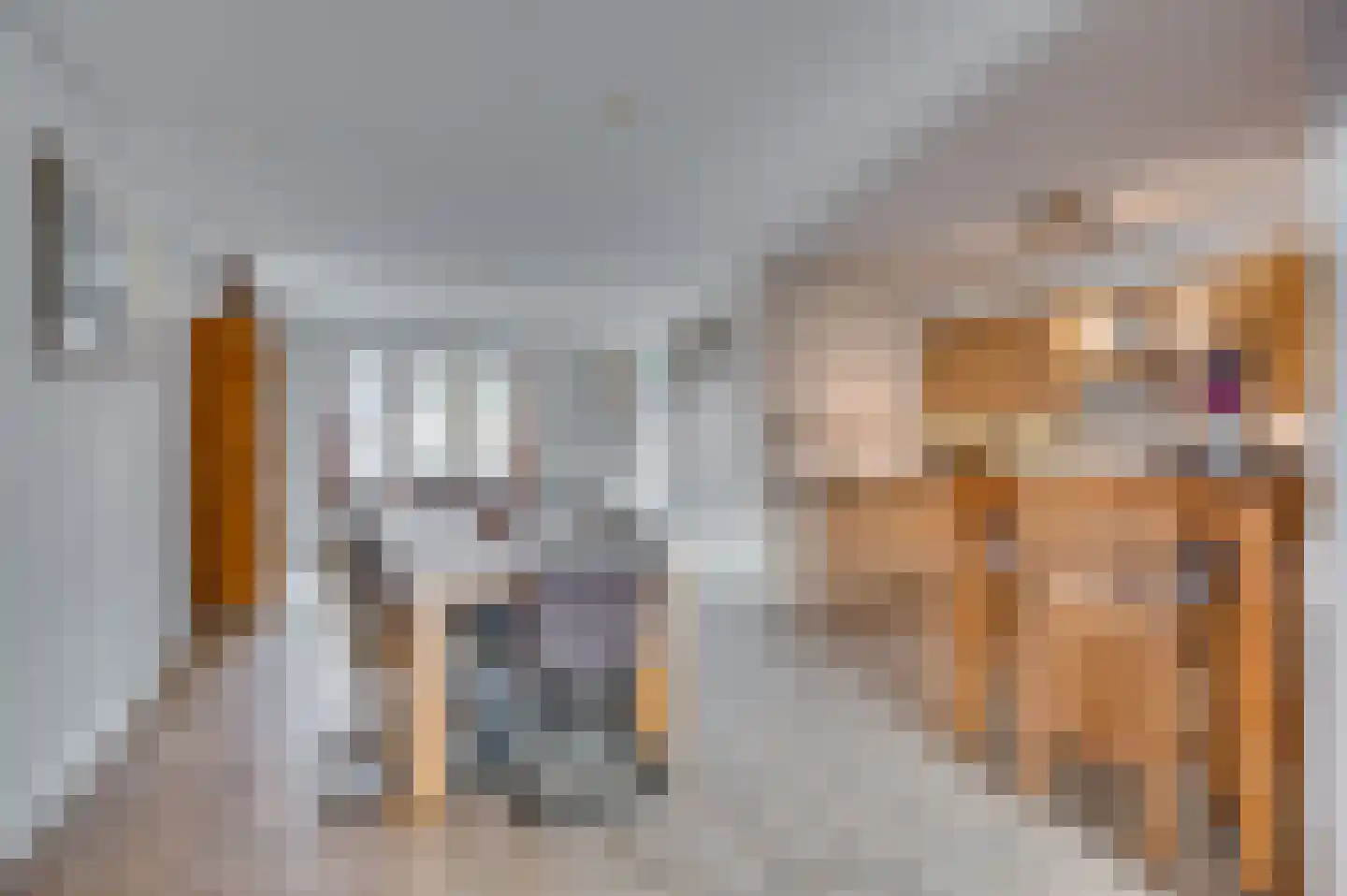 Venrayseweg 3 A Wanssum thumbnail 9