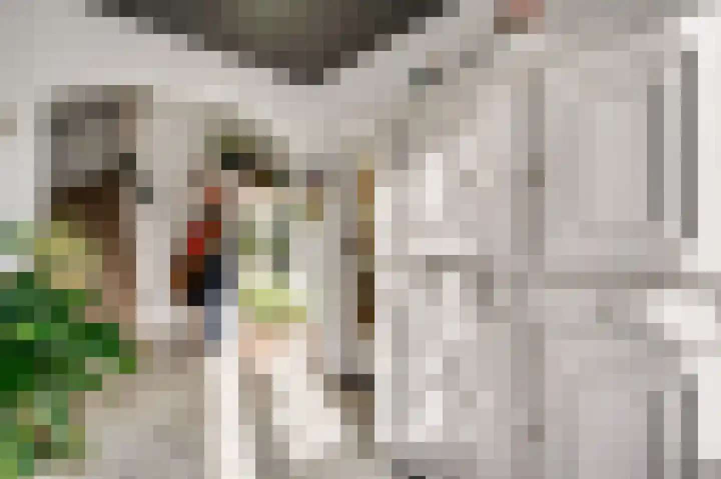Venrayseweg 39 Horst thumbnail 12