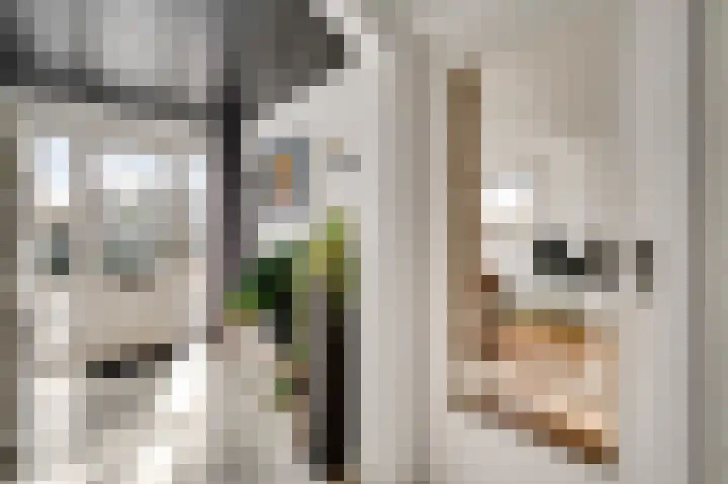 Venrayseweg 39 Horst thumbnail 13