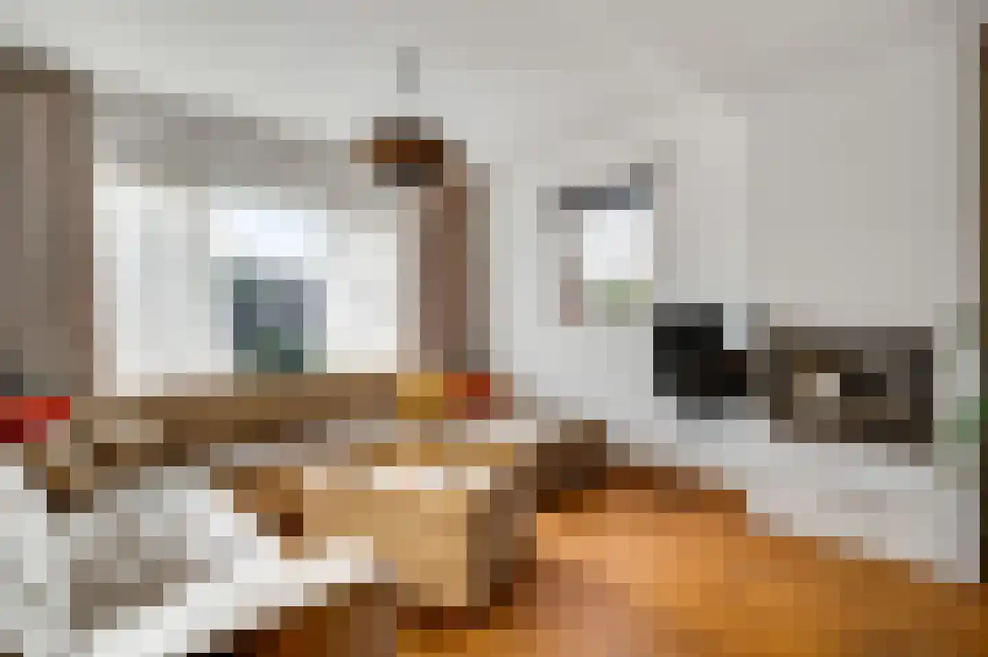 Venrayseweg 39 Horst thumbnail 14