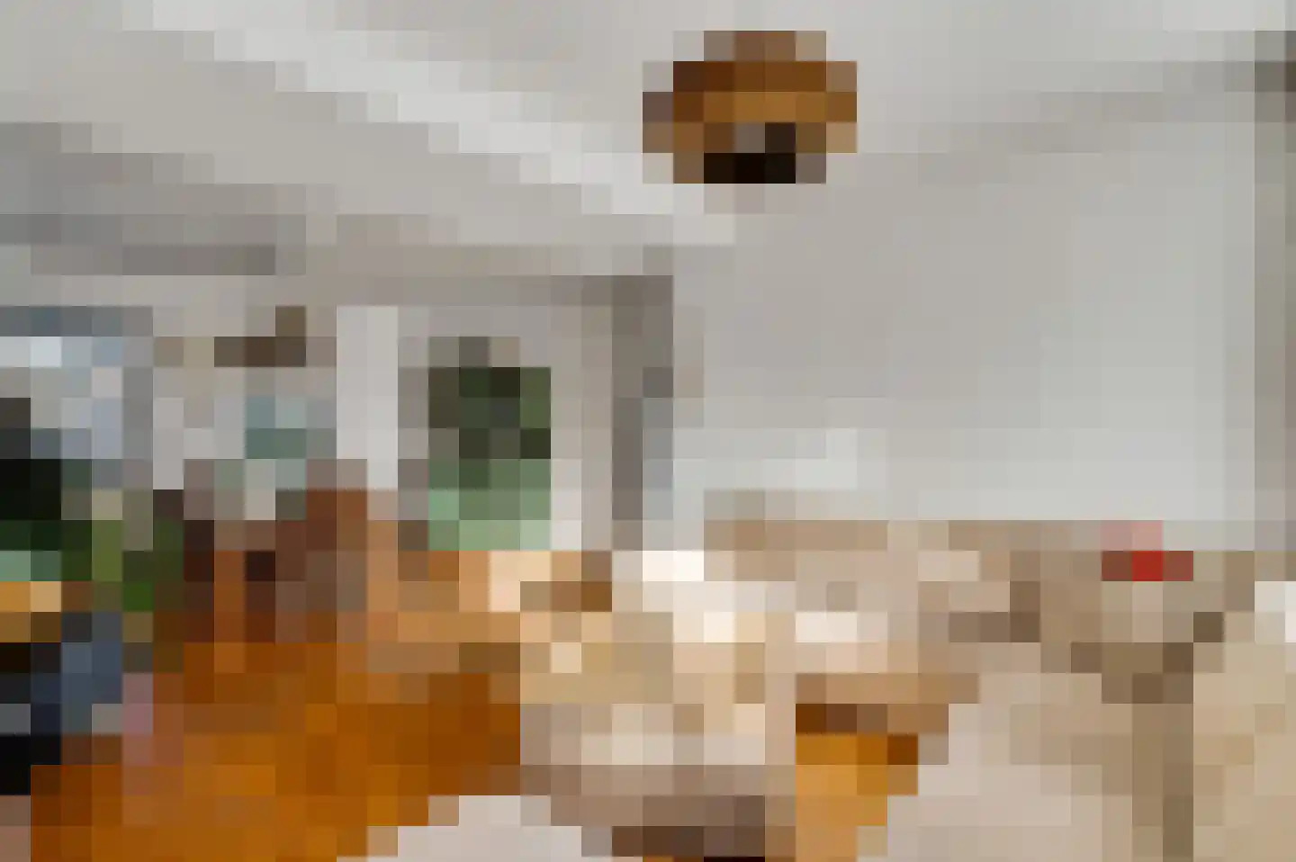 Venrayseweg 39 Horst thumbnail 16