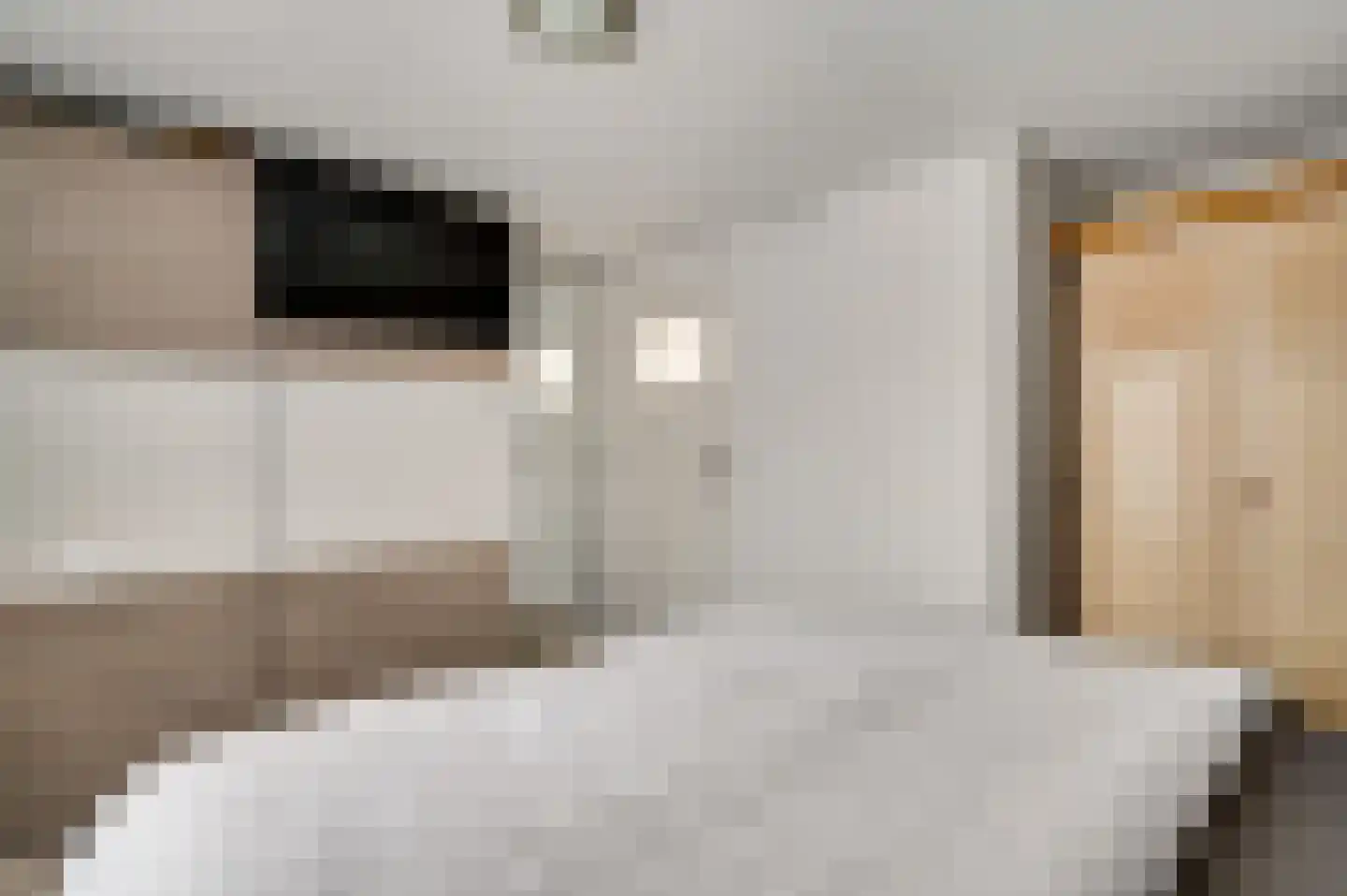 Venrayseweg 39 Horst thumbnail 32