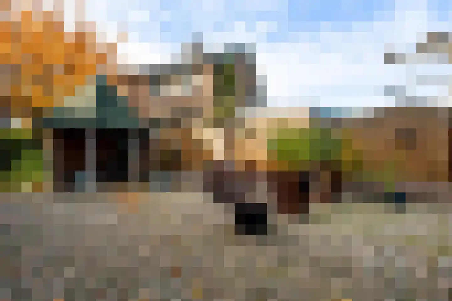 Venrayseweg 39 Horst thumbnail 43