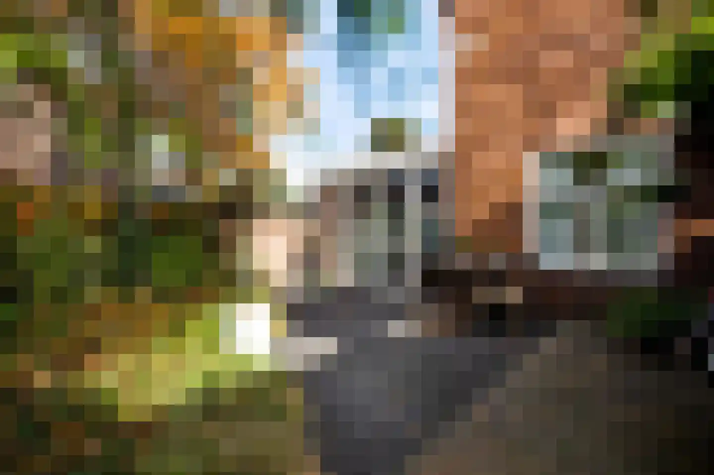 Venrayseweg 39 Horst thumbnail 47