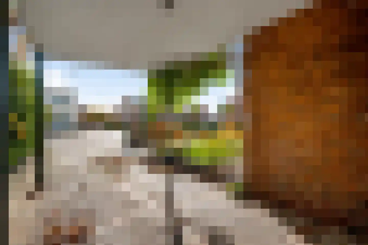 Venrayseweg 39 Horst thumbnail 48