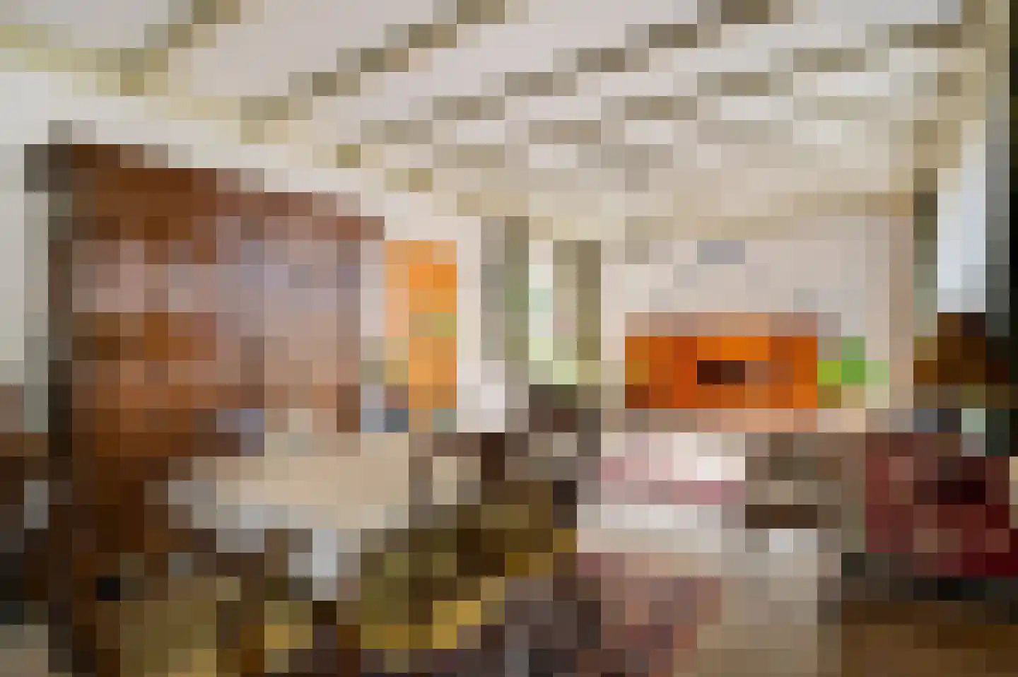 Venrayseweg 56 Horst thumbnail 17
