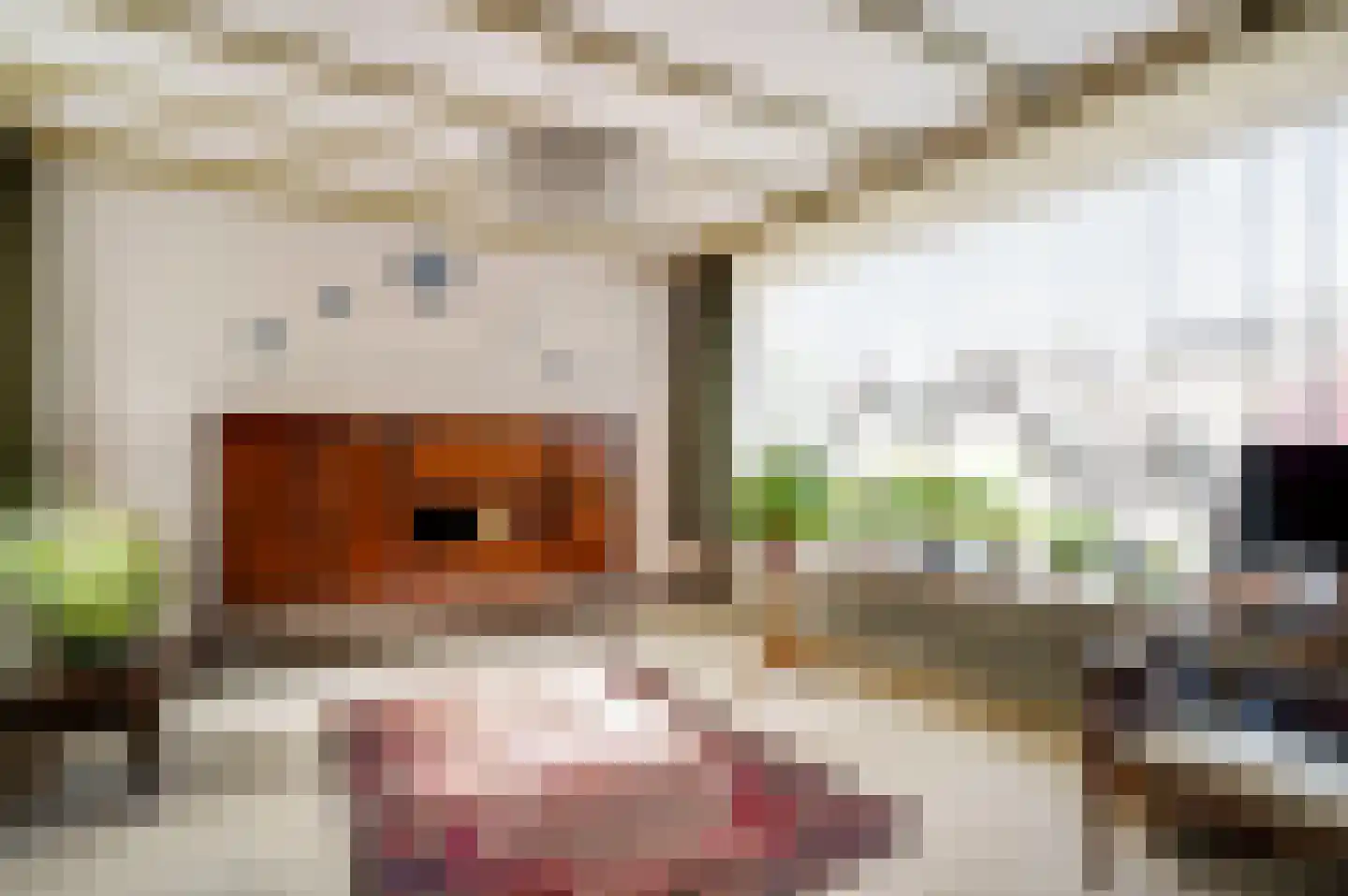 Venrayseweg 56 Horst thumbnail 19