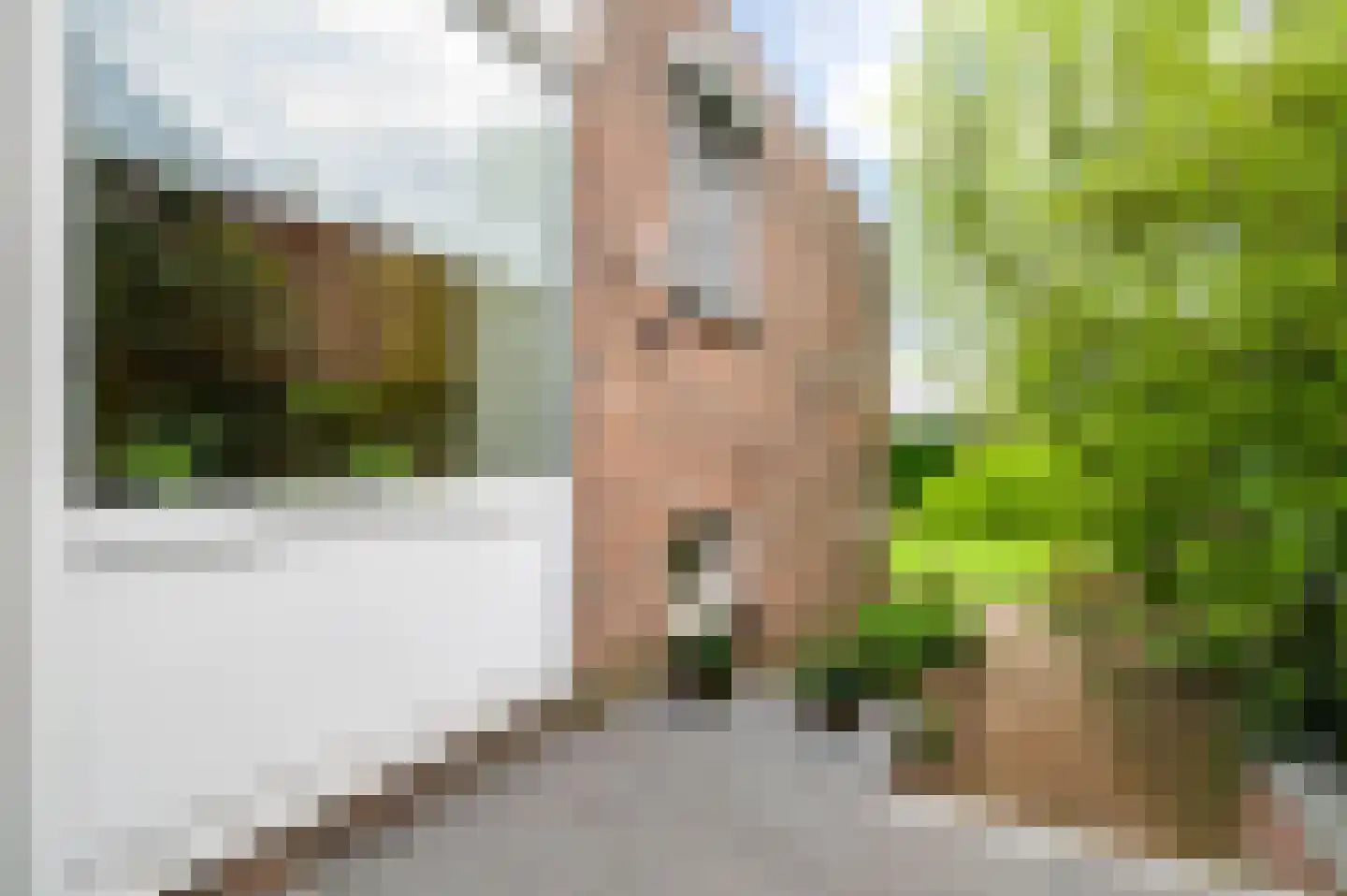 Venrayseweg 56 Horst thumbnail 34