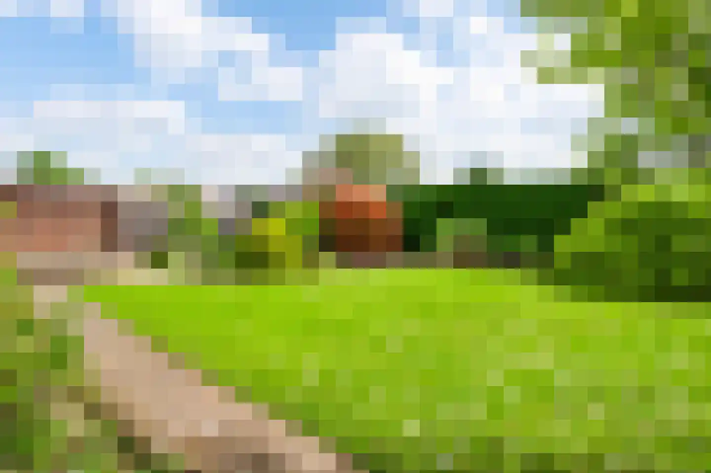 Venrayseweg 56 Horst thumbnail 36