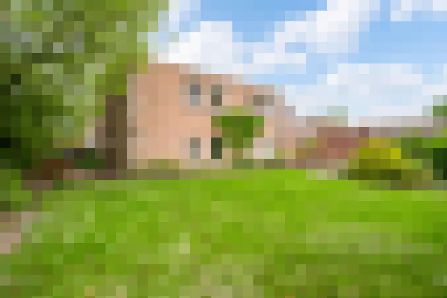 Venrayseweg 56 Horst thumbnail 37