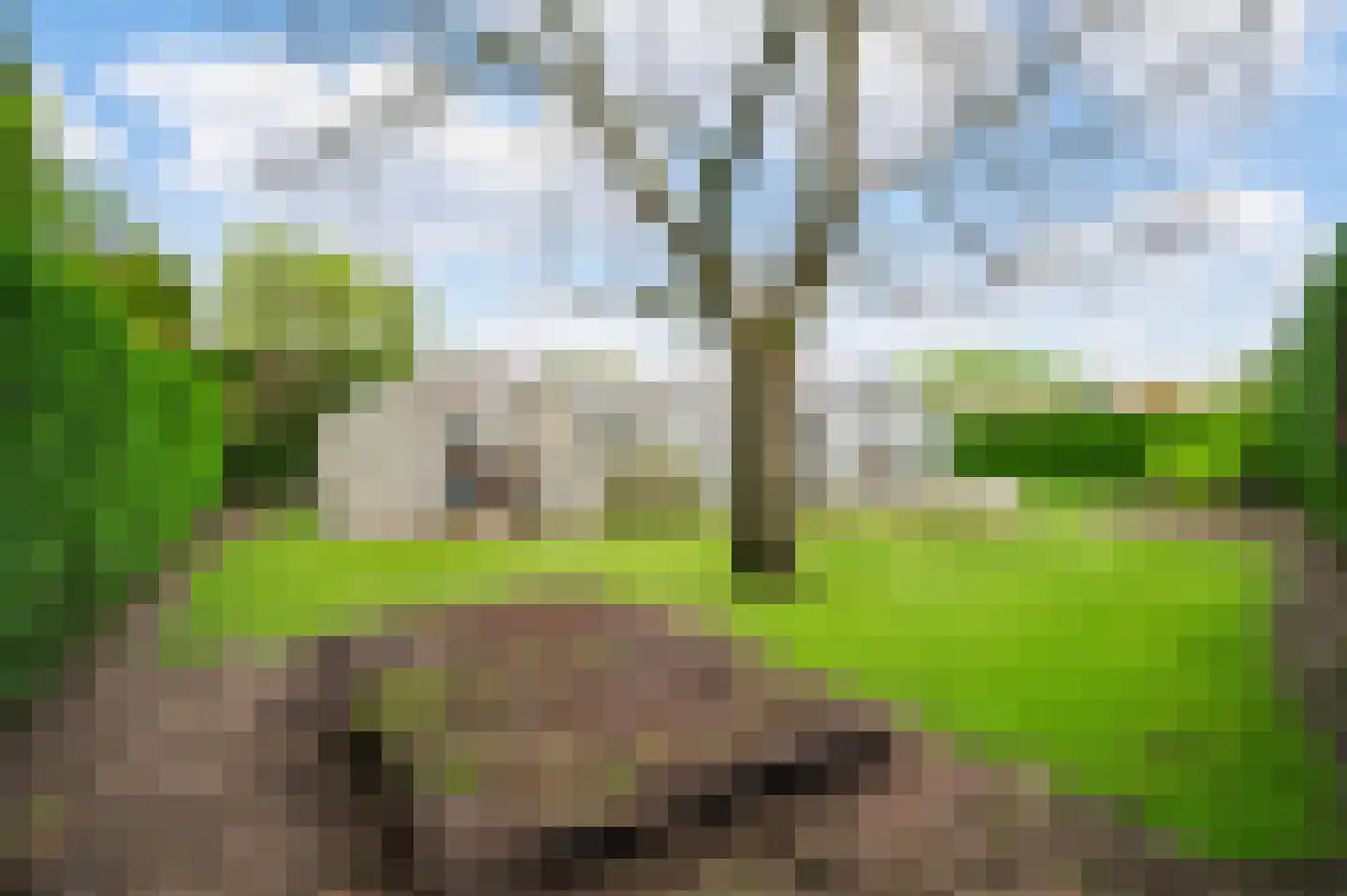 Venrayseweg 56 Horst thumbnail 41
