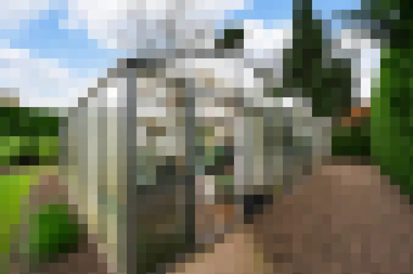 Venrayseweg 56 Horst thumbnail 42