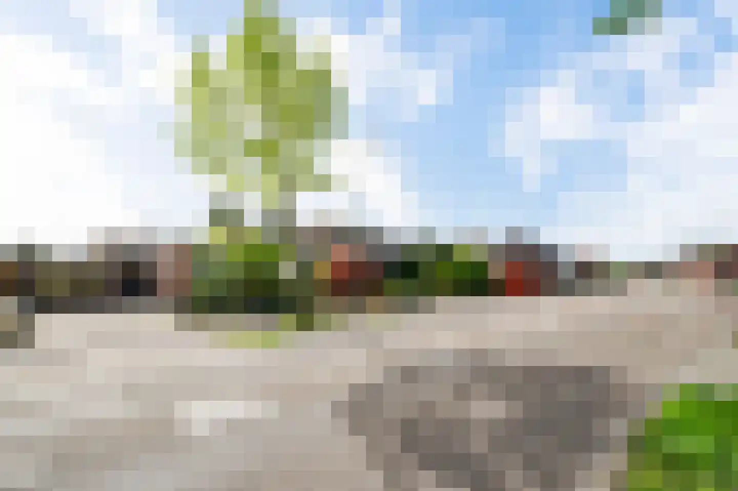 Venrayseweg 56 Horst thumbnail 5
