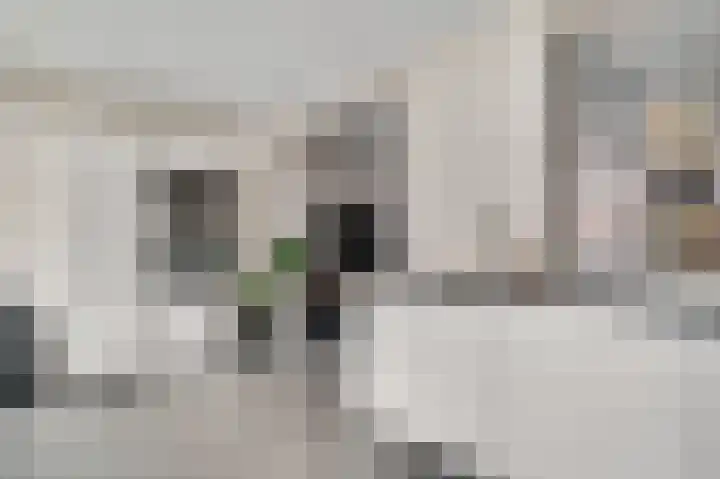 Venrayseweg 7 b Horst thumbnail 17