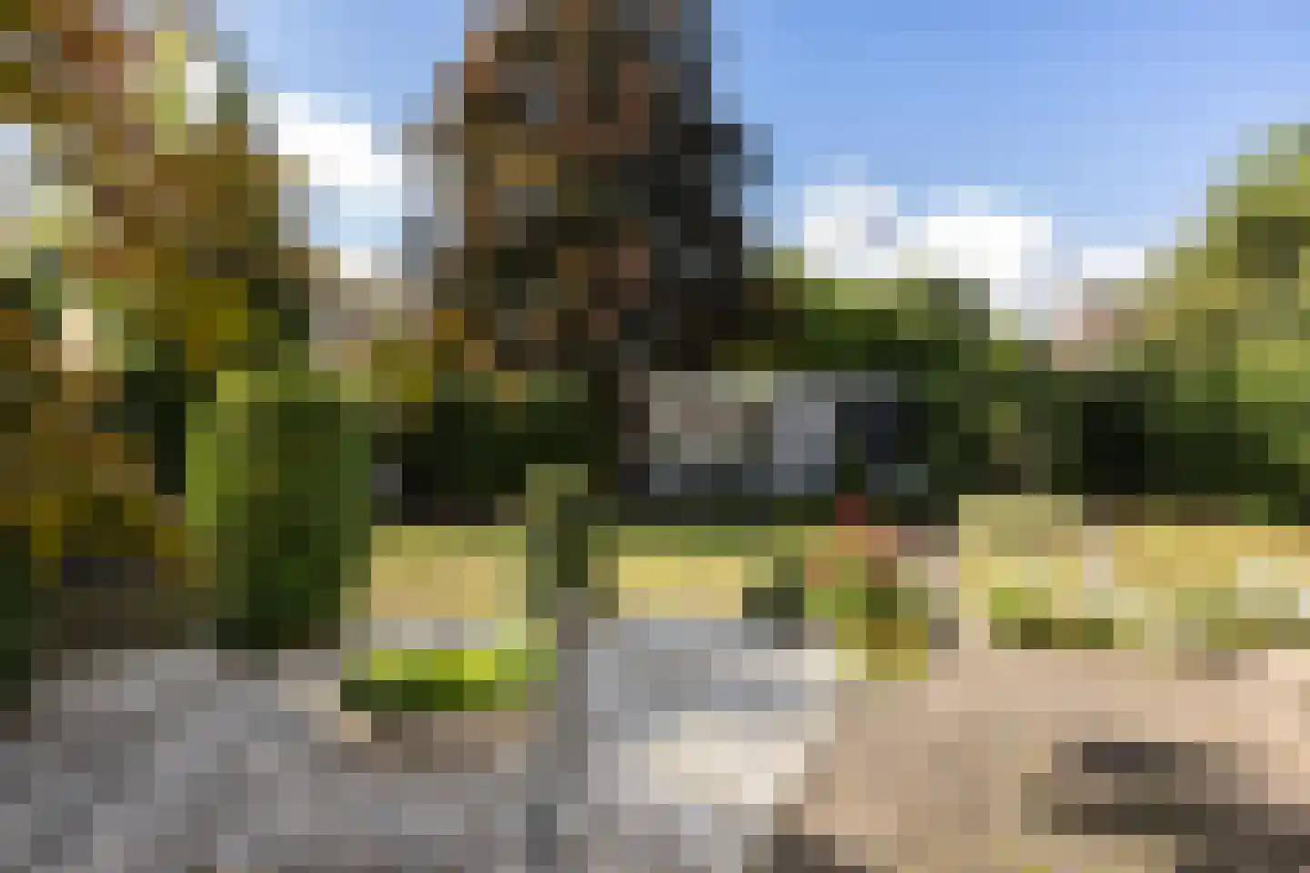 Venraystraat 8 Arnhem thumbnail 4