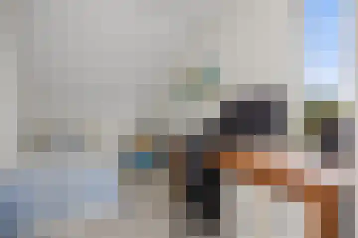 Venrode 46 Waalwijk thumbnail 30