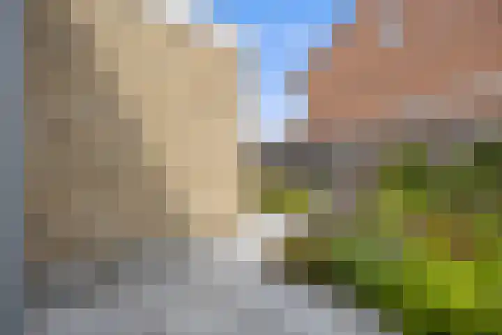 Venrode 46 Waalwijk thumbnail 34