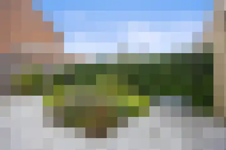 Venrode 46 Waalwijk thumbnail 35