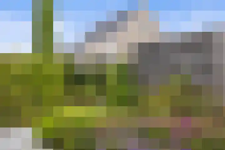 Venrode 46 Waalwijk thumbnail 36