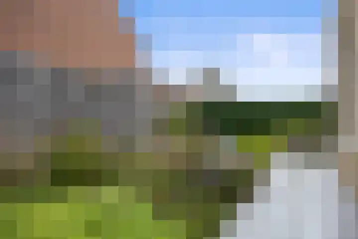 Venrode 46 Waalwijk thumbnail 37