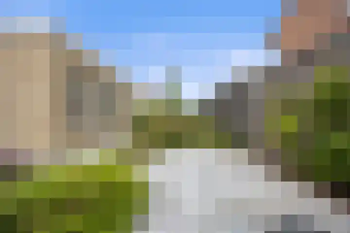 Venrode 46 Waalwijk thumbnail 4