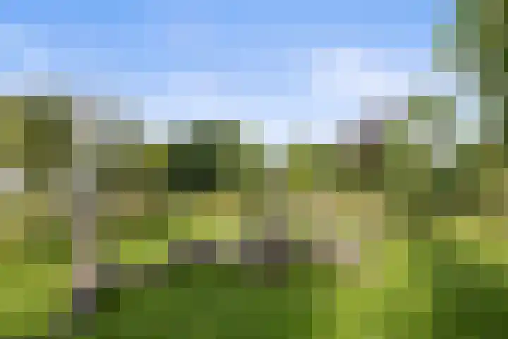 Venrode 46 Waalwijk thumbnail 41