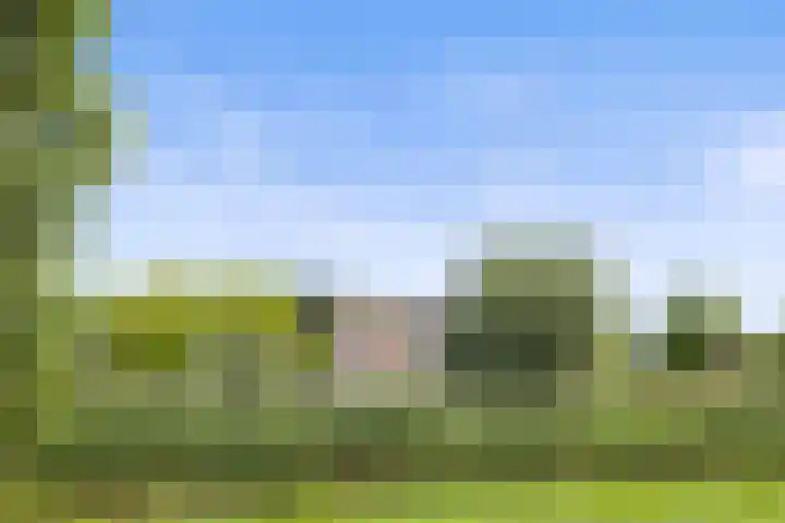 Venrode 46 Waalwijk thumbnail 42