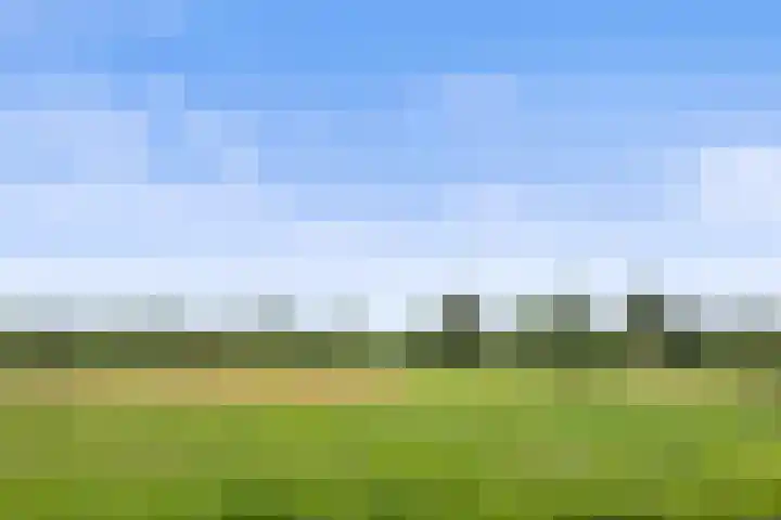 Venrode 46 Waalwijk thumbnail 43