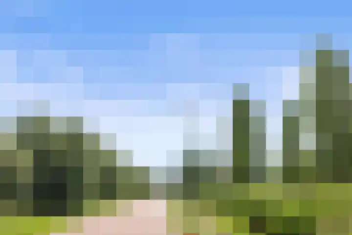 Venrode 46 Waalwijk thumbnail 44