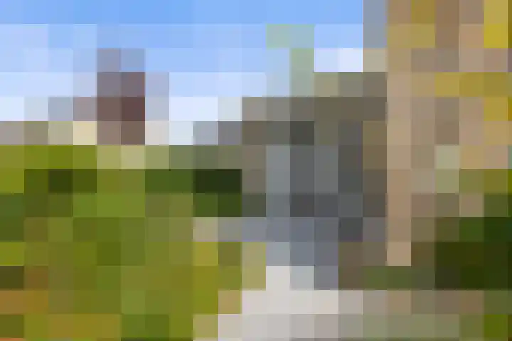 Venrode 46 Waalwijk thumbnail 5