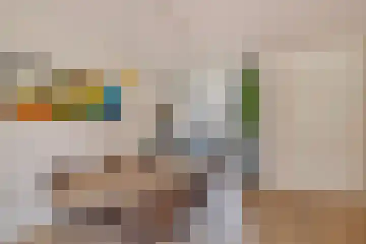 Venrode 58 Waalwijk thumbnail 11