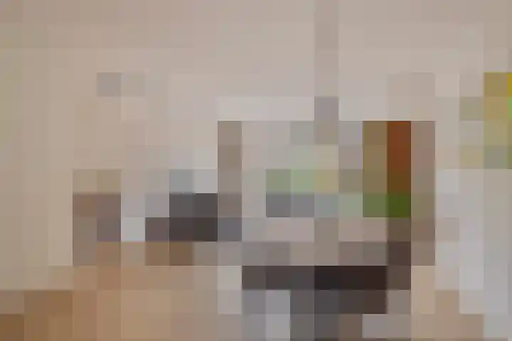 Venrode 58 Waalwijk thumbnail 12