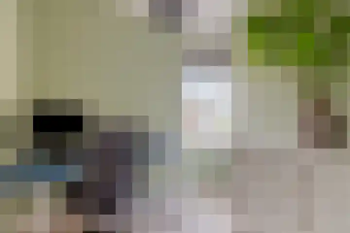 Venrode 58 Waalwijk thumbnail 17